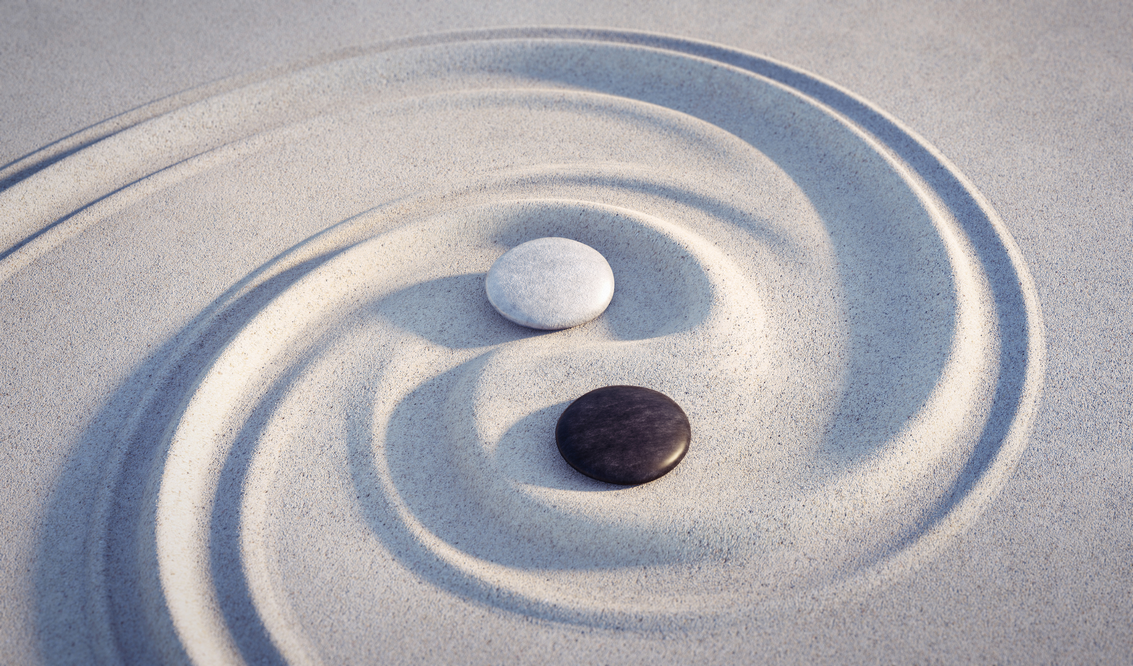 What is True Meaning of Zen